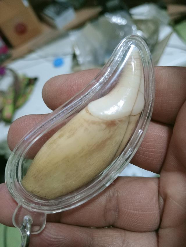 พระเครื่อง ไม่ทราบที่ รูปที่ 5