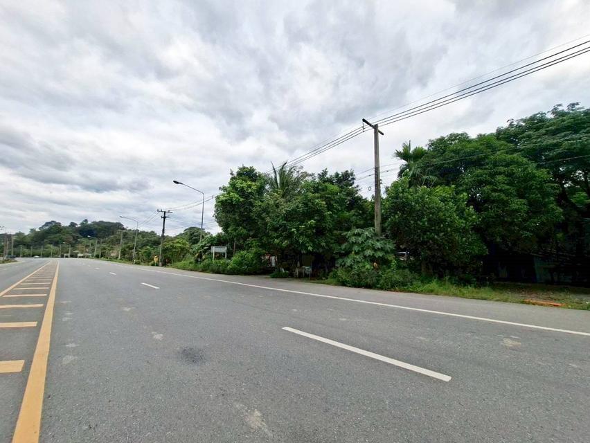 ขายที่ดินพร้อมสิ่งปลูกสร้างบ้านเขาเพิ่ม ถนนบ้านนา-แก่งคอย 3