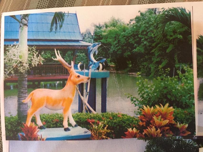 ที่ดินสวน น้ำรอบ สามพราน นครปฐม 6