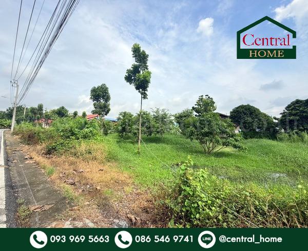 ที่ดินเปล่า 266 ตร.วา ท่าอิฐ 15 แยกตาลเดียว - วัดบางบัวทอง นนทบุรี 1
