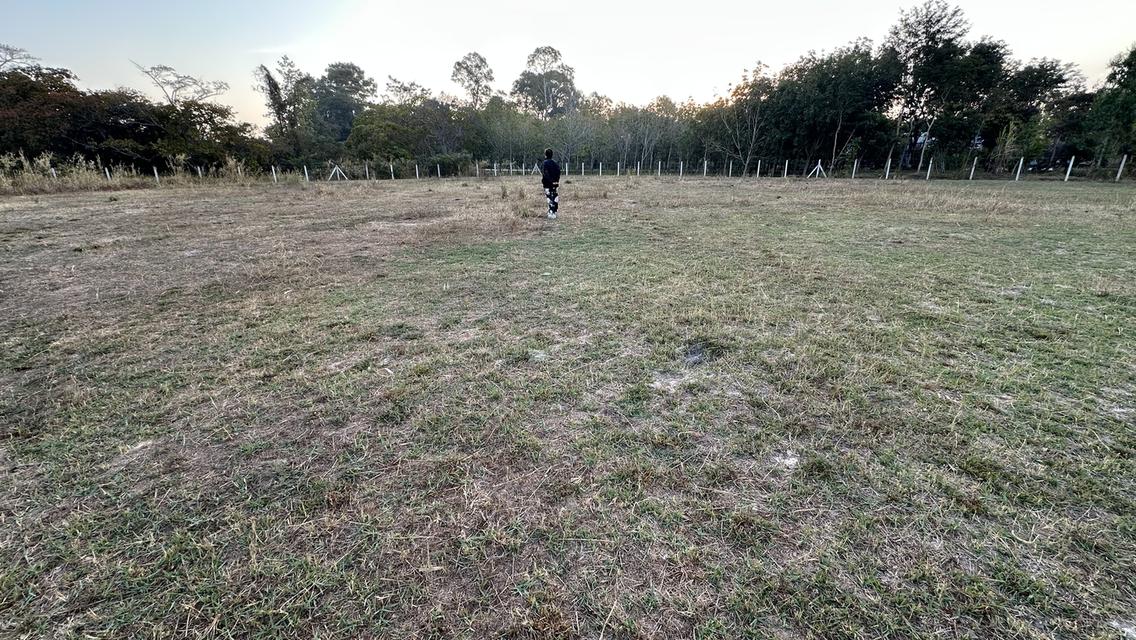 ที่สวยมาก 2ไร่ติดขอบคันอ่างเก็บน้ำลงแม่น้ำมูล ที่ดินหันหน้าหาน้ำ น้ำไฟสะดวก เหมาะทำบ้านสวน รีสอร์ท บ้านหลังเกษียณ หรือทำการเกษตรถนนปูนซ้ายขวาของที่ดิน 3