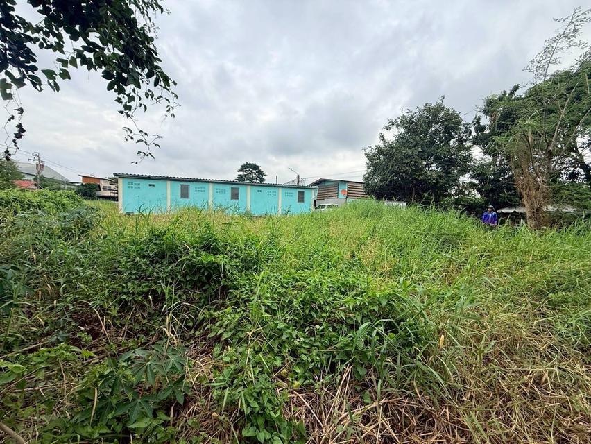 Vายถูกที่ดิน 50 ตารางวา ติดถนนลาดยางสาธารณะ ซอยสกุลช่าง บางบัวทอง นนทบุรี 10