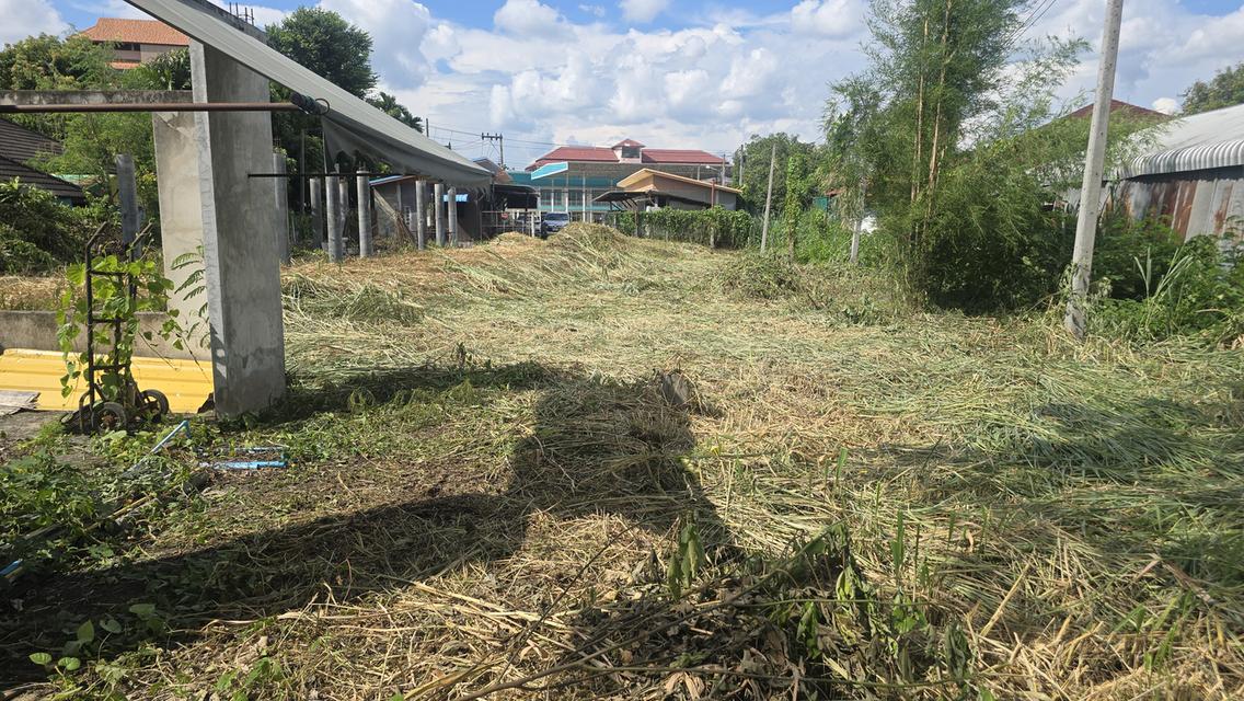 ซื้อที่ดินแถมดีไซน์! ที่ดินเชียงใหม่ใจกลางเมือง ทำเลทอง พร้อมทีมวิศวกรเขียนแบบให้ฟรี 40 ล้านบาทเท่านั้น! 📍🏡​จะดีกว่าไหมถ้าซื้อที่ดินแล้ว 8