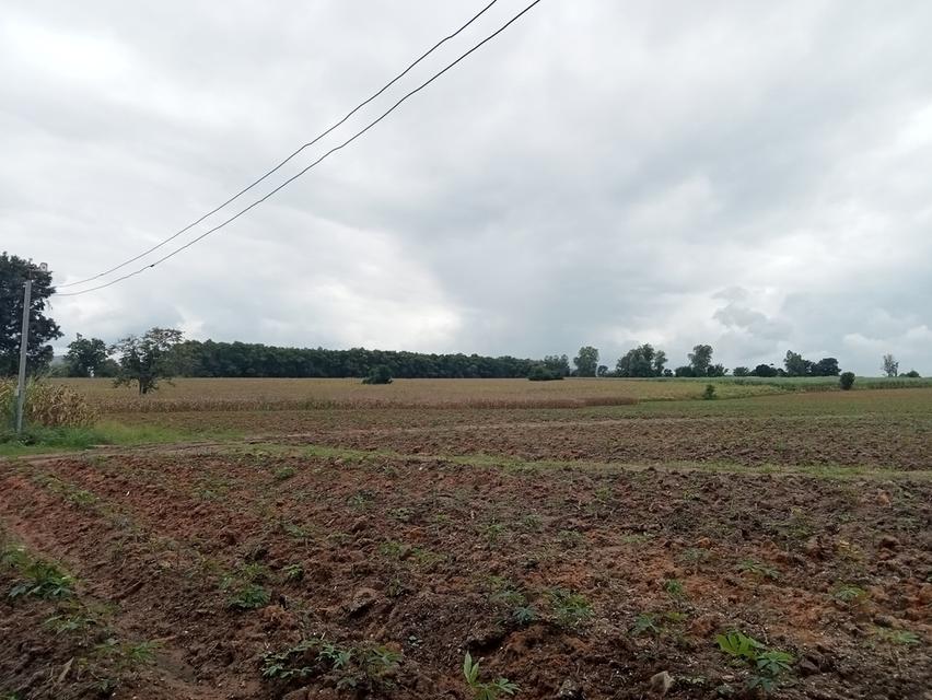 ขายที่ดิน ปักธงชัย ใกล้สหกรณ์ ลาน3 4