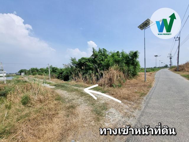 ขายที่ดินในบางปะกง ฉะเชิงเทรา ต.หอมศิล ขนาดพื้นที่ 1 ไร่ 3 งาน 65.8 ตารางวา