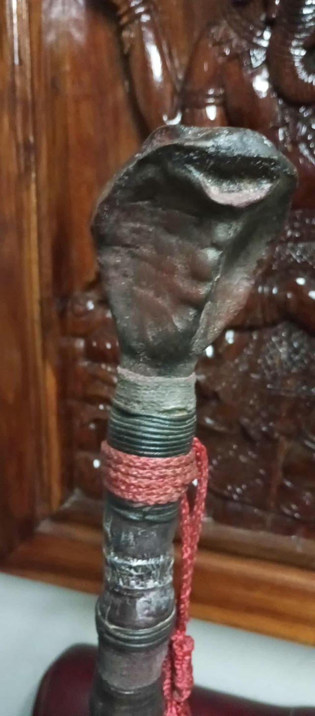 ไม้เท้างู ไม้เท้างูจงอาง ไม้เท้าแกะสลัก เศียรพญานาค ไม้เท้าไม้ไผ่ 5