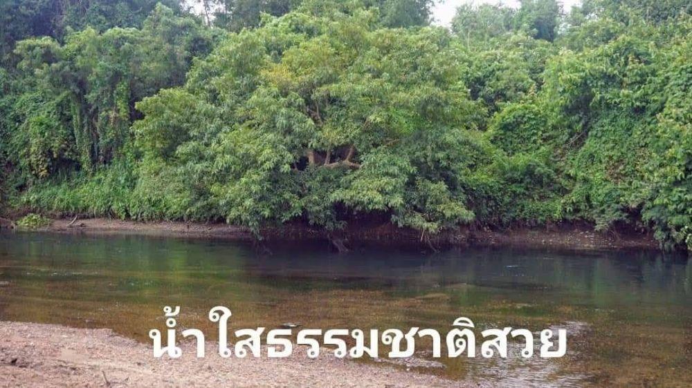 ขายที่ดินติดแม่น้ำเพชร 1.67 ไร่ มีโฉนดพร้อมโอน ติดกับรีสอร์ท Healing Camp เพชรบุรี