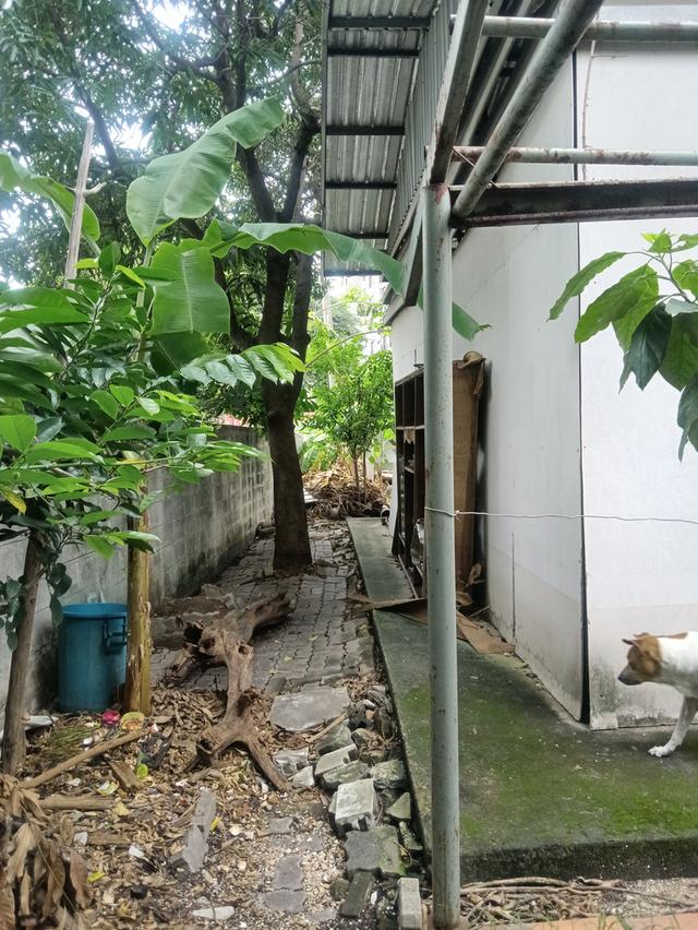 ที่ดินเปล่า 109 ตรว ใกล้ BTS สายหยุด 7