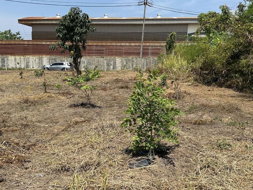 ขายที่ดิน 1 ไร่ 3 งาน ถมแล้ว ที่สวย บรรยากาศดี ร่มรื่น เงียบสงบ  ปลอดภัย ใกล้แหล่งท่องเที่ยว 10