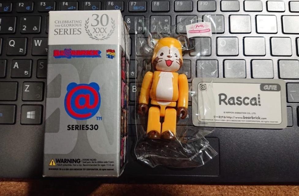 Bearbrick SERIES30 Rascal 1