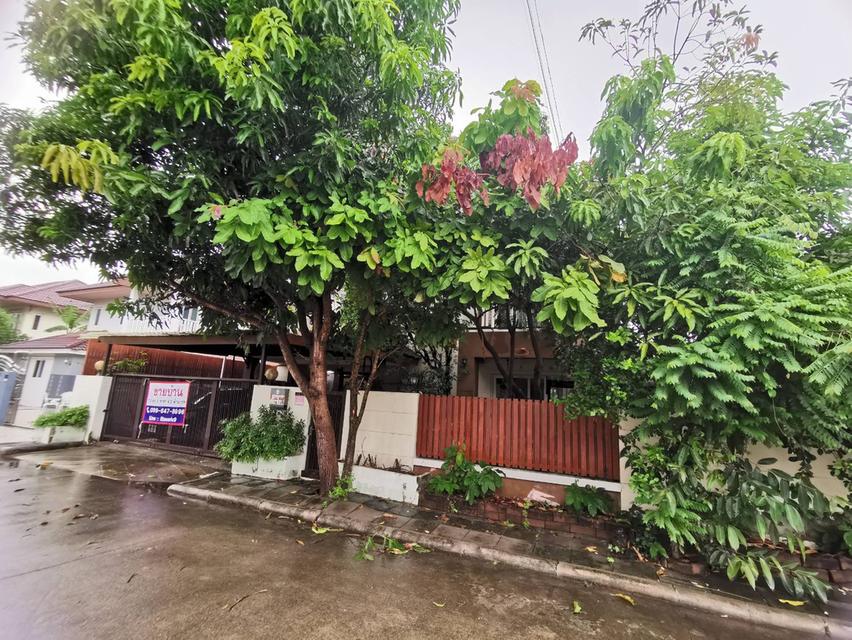 บ้านเดี่ยว 70 ตร.ว. 3ห้องนอน 3ห้องน้ำ ไทรน้อย นนทบุรี   18
