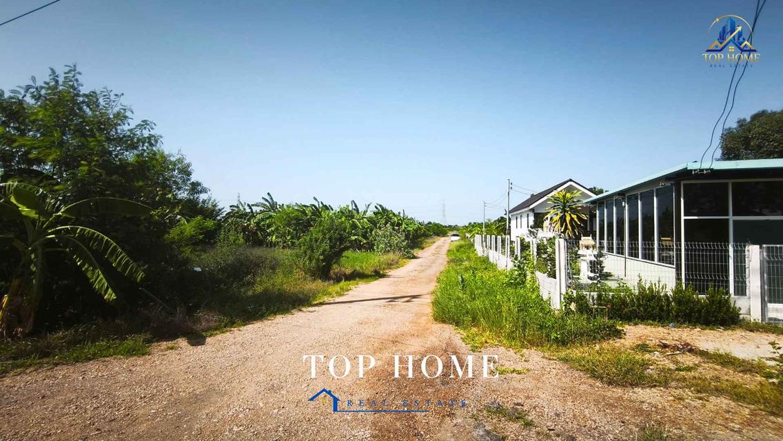 📍ขายที่ดินจัดสรรแปลงสวย ถมแล้ว 200 ตร.ว ต.บางเตย อ.สามโคก จ.ปทุมธานี📍 6