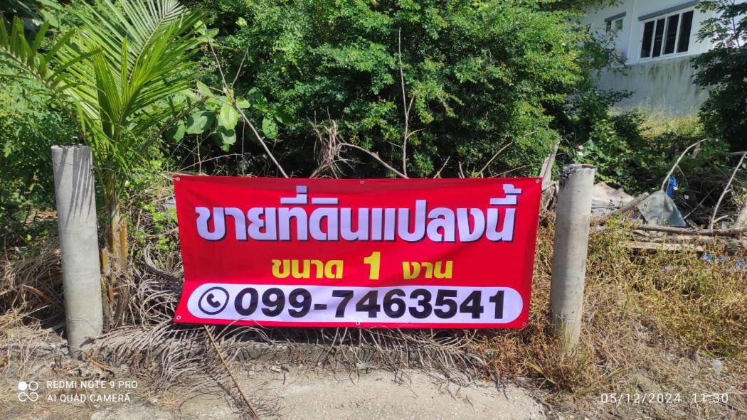 ขาย ที่ดิน พุทธมณฑลสาย 7 นครชัยศรี 1 งาน เหมาะสำหรับทำที่อยู่อาศัย 3