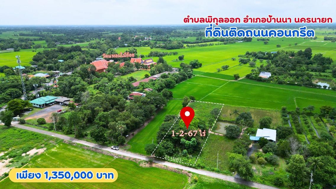 ที่ดินบ้านนาแปลงสวยราคาถูก น่าลงทุนมาก หน้าแปลงติดถนนคอนกรีต ตำบล พิกุลออก อำเภอบ้านนา นครนายก 1