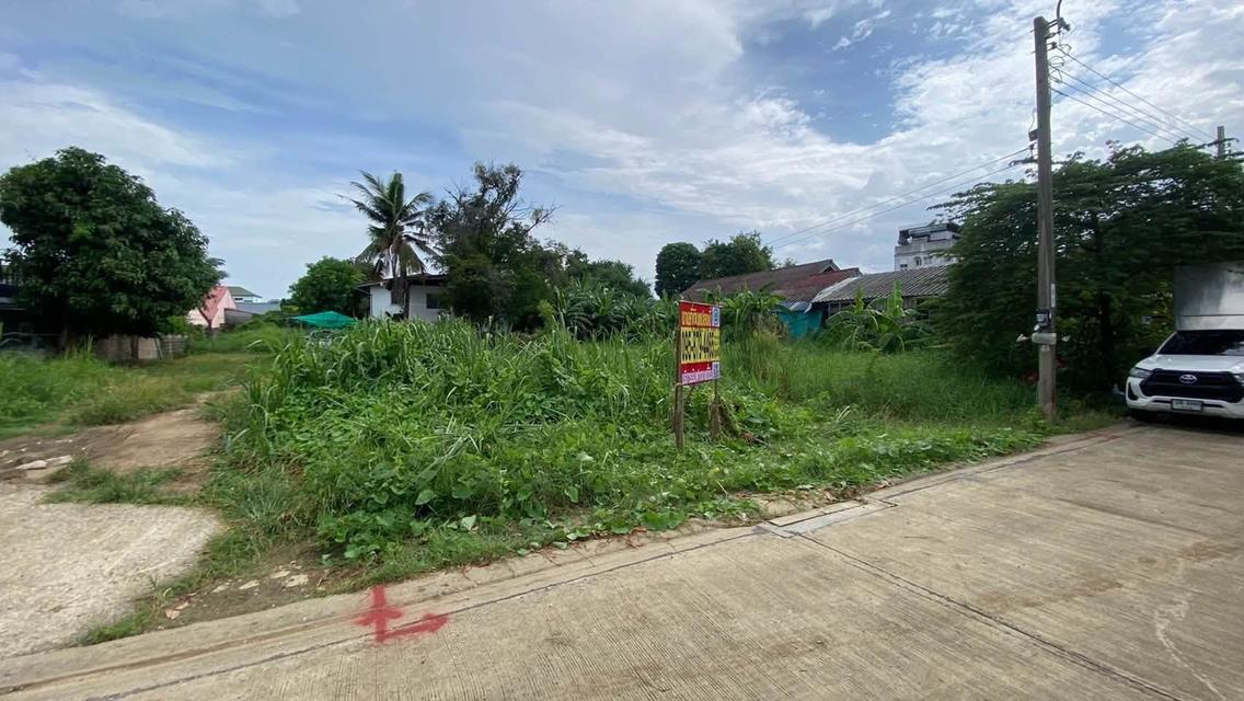 ขายด่วนที่ดินต่ำกว่าราคาประเมิน 108 ตรว ติดถนนคอนกรีต ซ.เพชรเกษม 108 ภาษีเจริญ กรุงเทพฯ 6