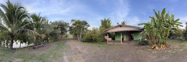 ขายที่สวนลำไย ราคาถูก-สามารถซื้อไปขายต่อหรือปล่อยเช่าได้ 4