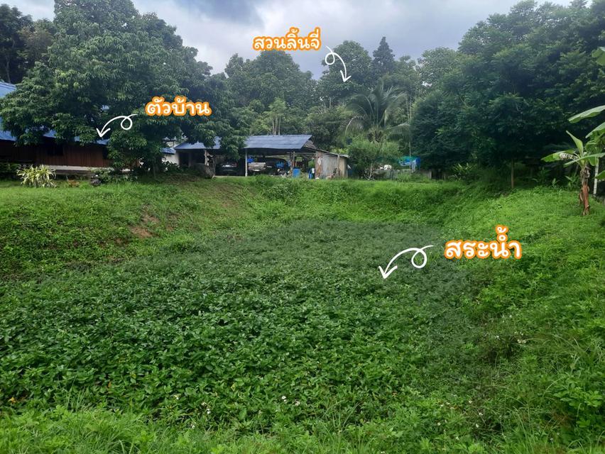บ้านพร้อมที่ดิน อ.ปาย จ.แม่ฮ่องสอน 8