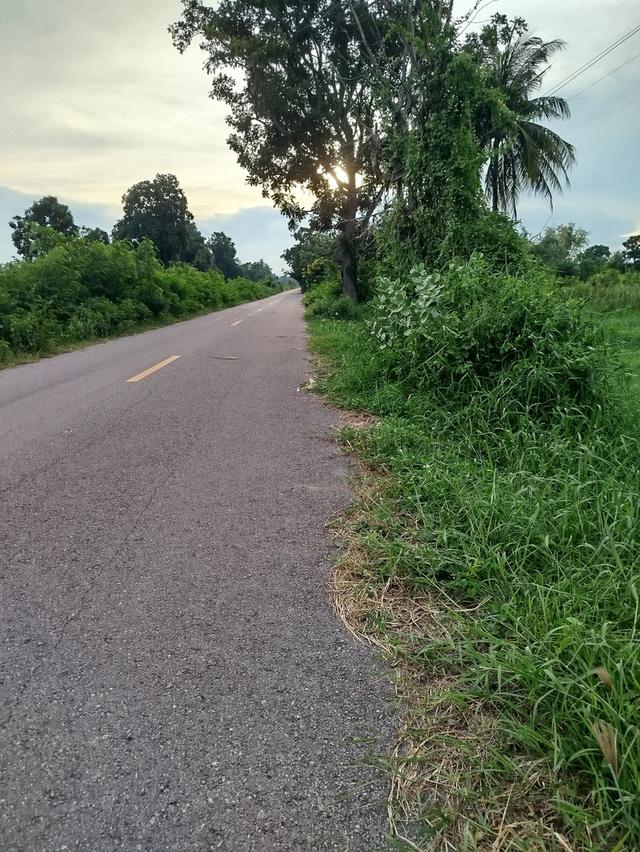 ที่ดินจำนวน 2 ไร่ ที่สวยติดถนน ตำบลหนองพลับ อำเภอเมือง จังหวัดเพชรบุรี 2