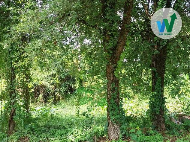 ขายที่ดินสวย ทำเลดี ใกล้บิ๊กซี ขอนแก่น2 5