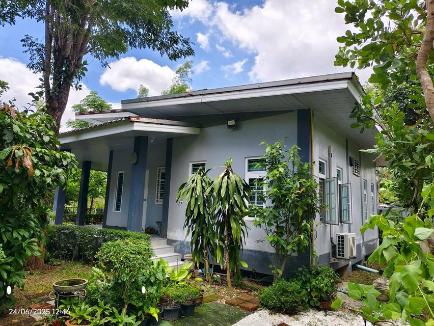 บ้านสวนในฝัน…กลางเมืองสระแก้ว