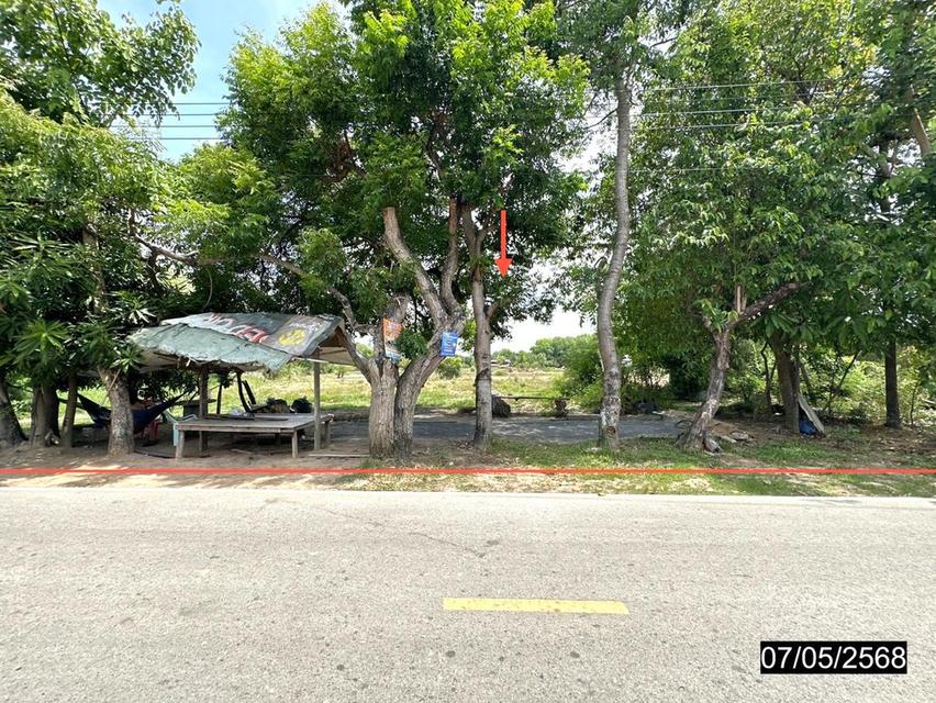 ที่ดินร้อยเอ็ด 8 ไร่กว่า ผืนใหญ่ ทำเลดี ติดถนนสายหลัก 3