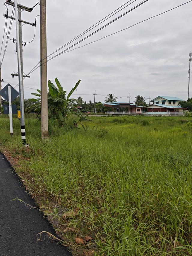 ขายที่ดิน2ไร่ ติดถนน นครนายก 9