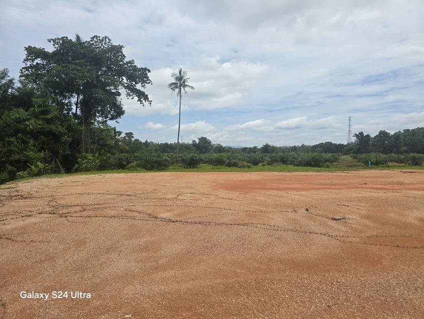 Prime land ideal for investment (ที่ดินสวยเหมาะแก่การลงทุน) 2