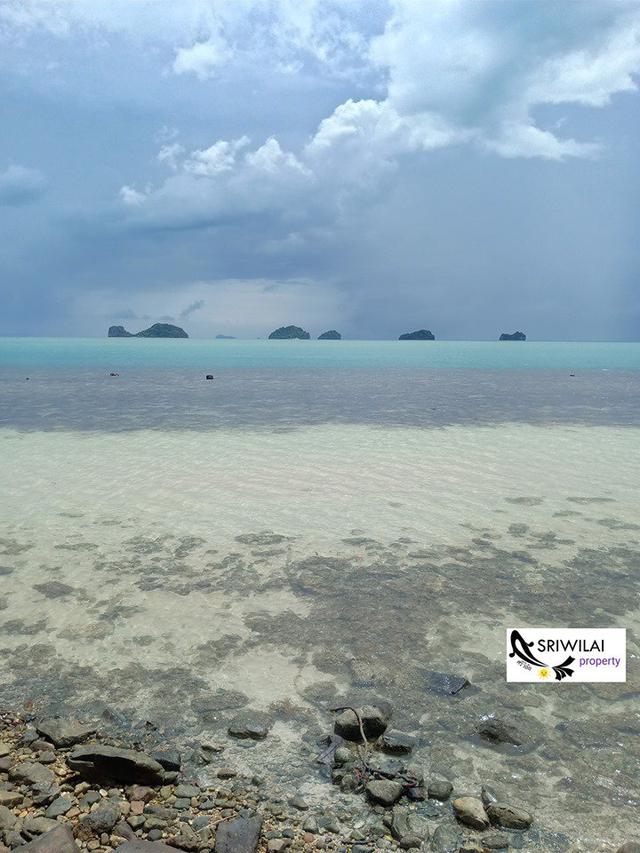 ขายที่ดิน24ไร่ ติดทะเลชายหาดพร้อมซีวิวหมู่เกาะน้อยใหญ่ในทะเลอ่าวไทยเกาะสมุย 6