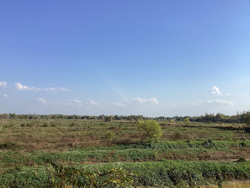 ขายที่ดิน314ไร่ ติดถนนหลัก อ.นาทม จ.นครพนม 2