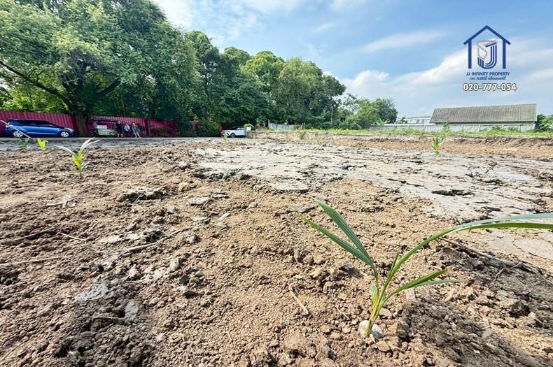 ขายที่ดิน 145 ตารางวา ซอยปุณณวิถี43 ถนนสุขุมวิท 101 ใกล้ BTS ปุณณวิถี  4