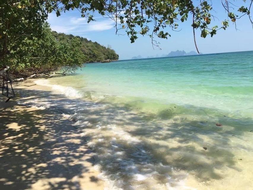 📢 ประกาศขายที่ดินติดทะเล เกาะนาคาใหญ่ จังหวัดภูเก็ต 9