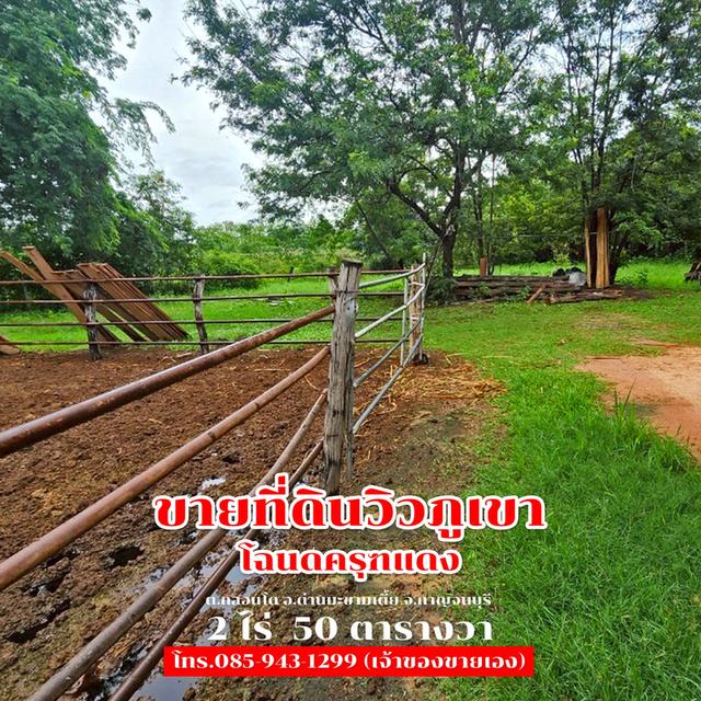 ขายที่ดิน 2 ไร่ 50 ตารางวา ติดถนนลาดยาง วิวภูเขา จ.กาญจนบุรี 1,500,000 8