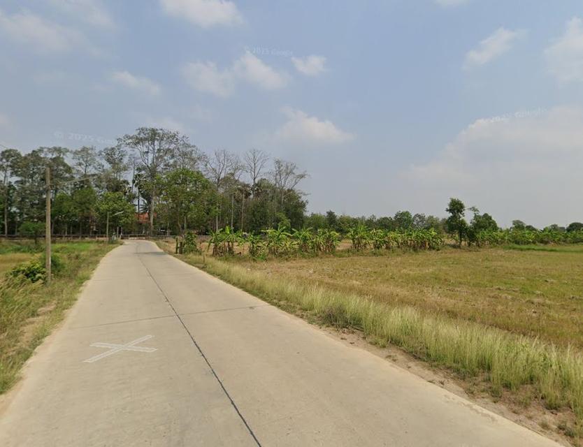 ขายที่ดินไร่หลักทอง 6 ไร่ ติดถนนคอนกรีตซอยอบต.ไร่หลักทอง ใกล้ถนนเส้นศุขประยูร315-3กม. อ.พนัสนิคม ชลบุรี 1