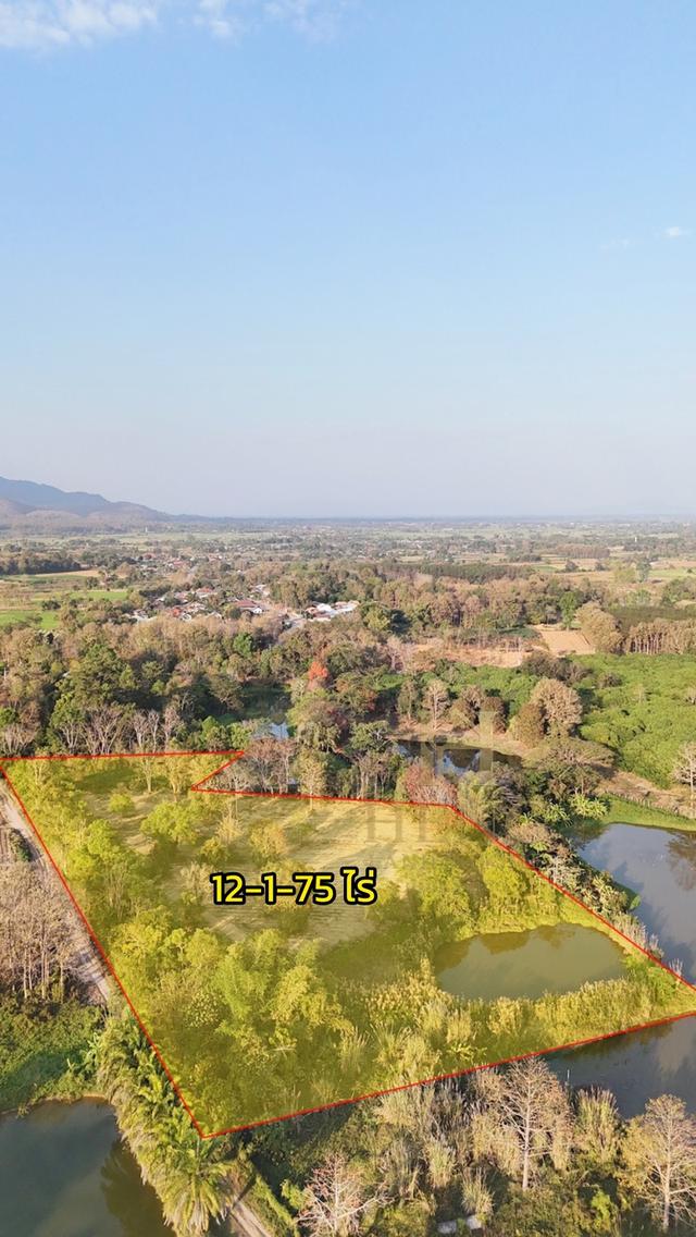 ประกาศขายที่ดิน ทำเลศักยภาพ ใกล้ไร่ชาฉุยฟง ตำบลศรีค้ำ อำเภอแม่จัน จังหวัดเชียงราย 57110 2