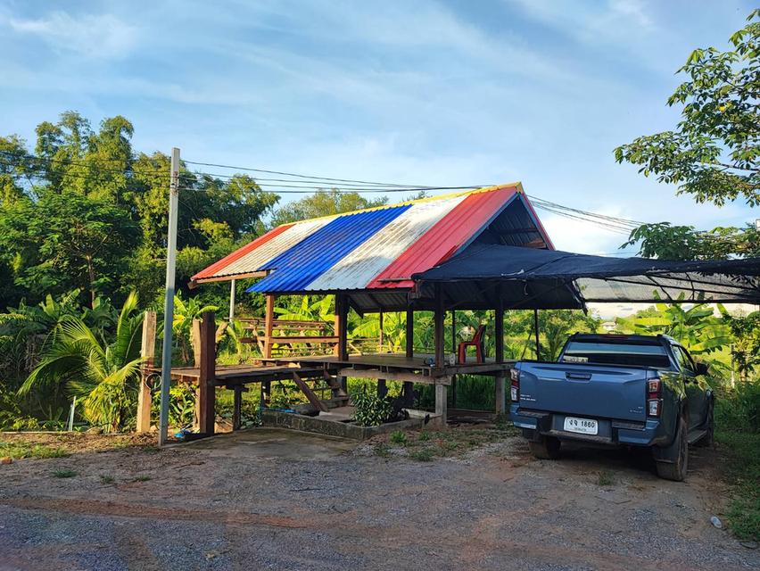 ขายบ้านสวนบรรยากาศดี บนพื้นที่ขนาดใหญ่ จ.อุดรธานี! (H1SS-479) 2