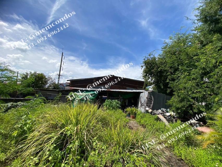 ที่ดินทมแล้ว พร้อมสิ่งปลูกสร้าง พัฒนาต่อได้เลย (น้ำไม่ท่วม) 6