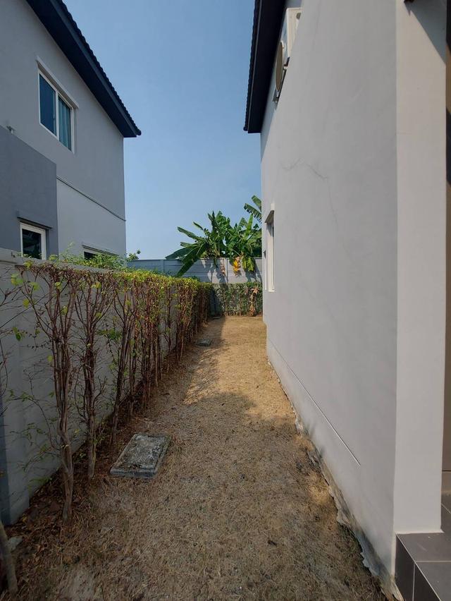 ให้เช่าบ้านเดี่ยว หมู่บ้านแกรนด์พลีโน่บางนา กิ่งแก้ว 37 พร้อมอยู่ (N.1544)