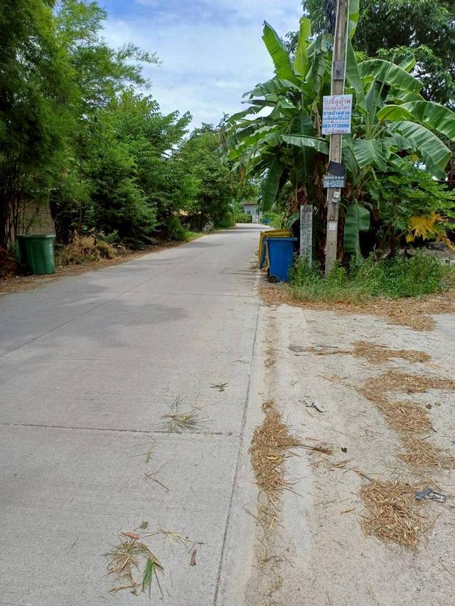 ขายที่ดินพร้อมบ้านและห้องแถว 6