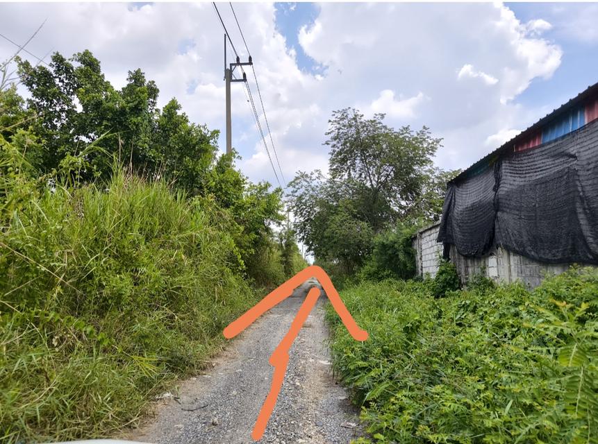 ขายที่ดิน 5ไร่ คลอง5 ธัญบุรี ปทุมธานีซอยคลอง5 ตะวันตก44 ติดกับหมู่บ้านทัศนี เยื้องสนามกอล์ฟAlpine