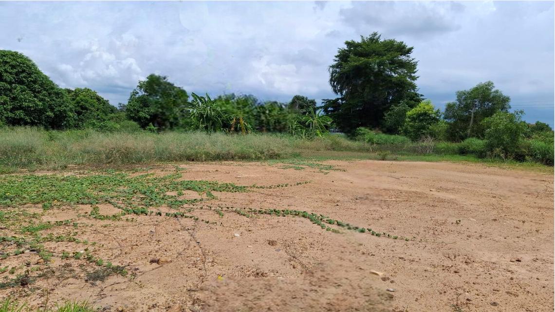 ขายที่ถมแล้ว ขายถูก ใกล้ถนนทางหลวง 3025 ( ท่าข้าม-สระสี่เหลี่ยม ) เนื้อที่  200  ตรว. ต.ท่าข้าม อ.พนัสนิคม จ.ชลบุรี 3