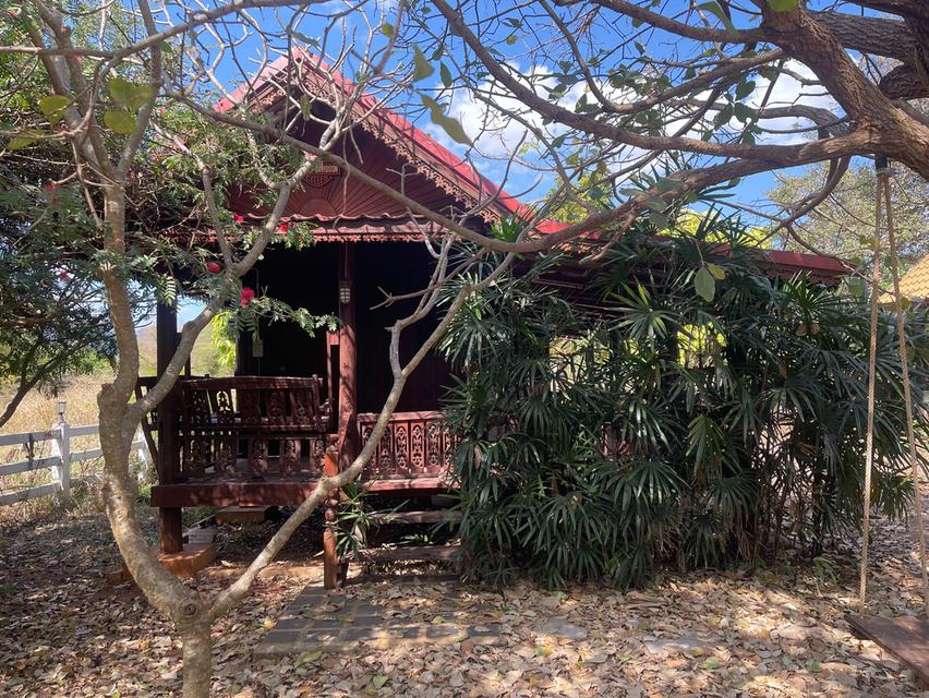 ขายที่ดินพร้อมบ้านพักตากอากาศ ทำเลทอง หนองน้ำแดง เขาใหญ่ นครราชสีมา 9