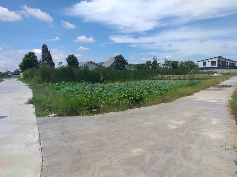 ขายที่โฉนด จำนวน 1 งาน 92 ตรว ที่ดินสี่เหลี่ยมสวย รังสิต ปทุมธานี 8