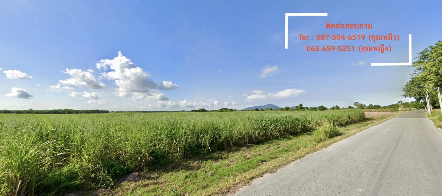 ที่ดินบ้านบึง ทำเลโครตจึ้ง ใกล้ถนน 331 ชลบุรี 1