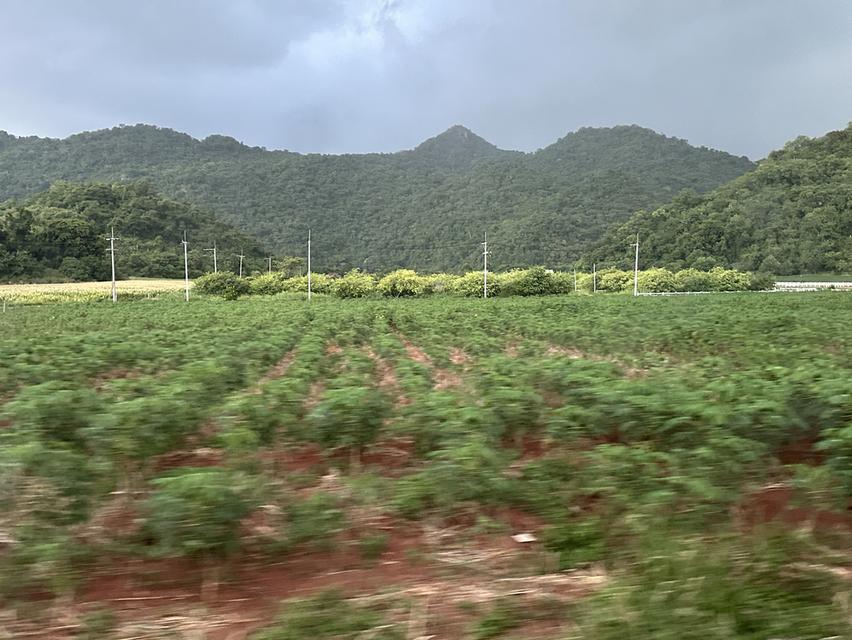 ที่ดินติดถนนเขาวง ปากช่อง  2ไร่  โอบล้อมด้วยวิวเขา ติดถนนเส้นเขาวง หน้ากว้าง สวย โฉนด 9