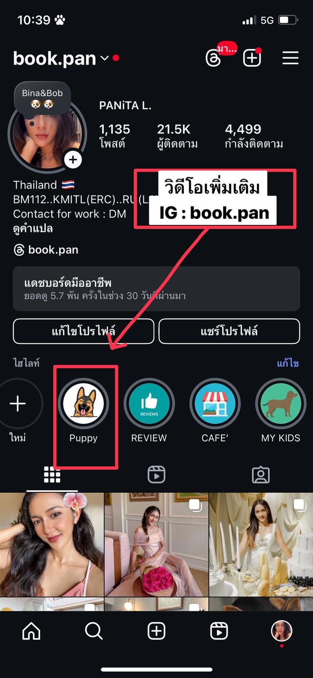 ลูกสุนัขเยอรมันเชพเพิร์ด(อัลเซเชี่ยน)