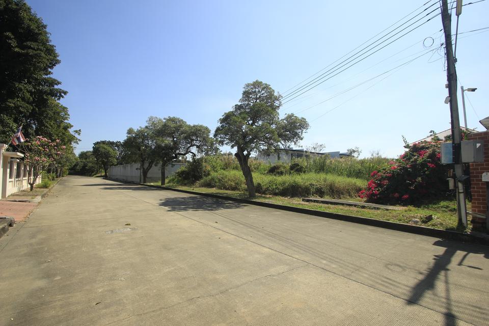 ที่ดินถนนบรมราชชนนีปิ่นเกล้านครชัยศรี ที่ดินสร้างบ้าน396.8ตารางวา หมู่บ้านวริยาวิลล์ หมู่บ้านติดถนนใหญ่ ซอยแรกของโครงการ ใกล้มหิดลศาลายา 16