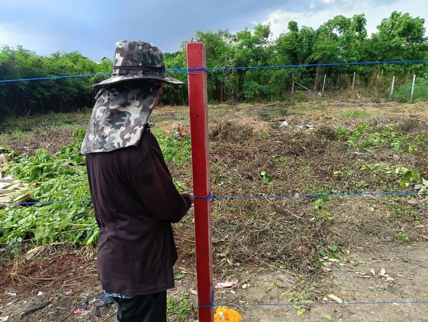 ขายที่ดินสวนหลวงร.9 ประเวศ 224 ตร.วา 8