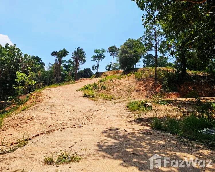 ขายที่ดินภูเก็ต Phuket แปลงสวย 21-1-35.7 ไร่ RAI (170 ล้าน MB) Kathu - Patong อ.กะทู้-ป่าตอง แปลงสุดท้าย ท้ายสุด สร้างบ้านเดี่ยวหรู ขายหมดได้สบายๆ 12