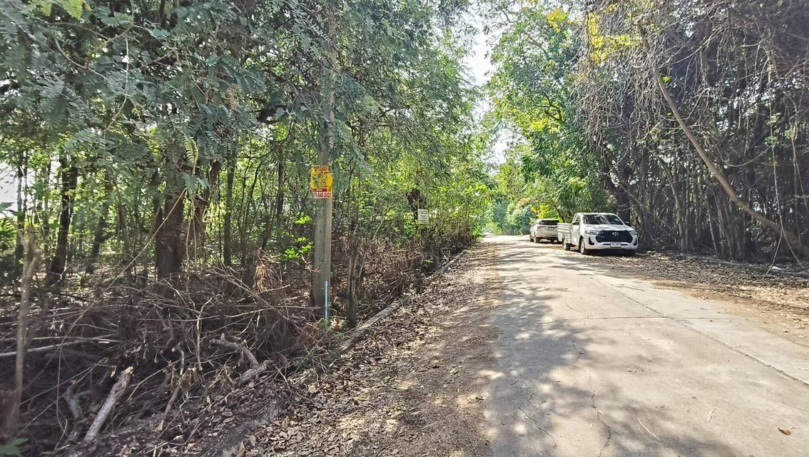 ขายที่ดินถมแล้ว 68ตรว. 450,000 บาท ลาดหลุมแก้ว 3