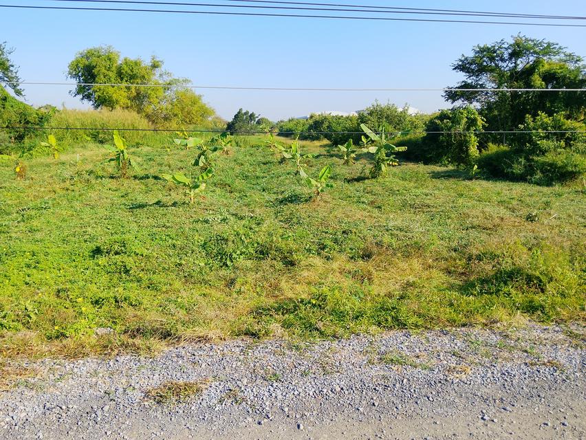 ที่ดินว่างเปล่า 5 ไร่ 1,200,0000 บาท 4